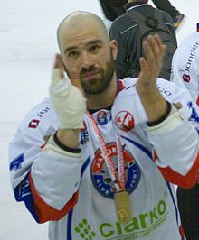 PHL_final_2014_Sanok_-_Tychy_Mike_Danton.jpg