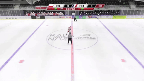 Majkowski shootout Goal vs. France