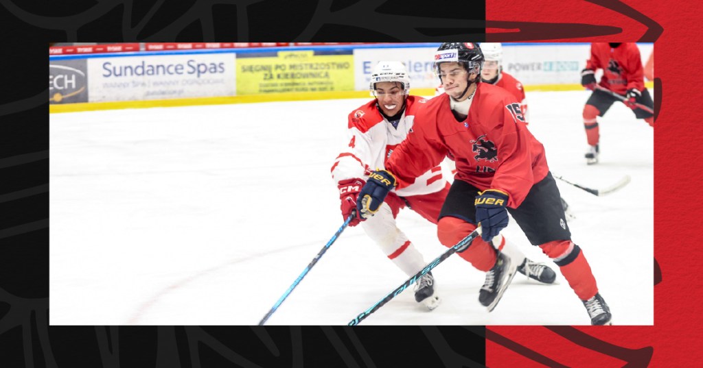 A Lithuanian and polish forward fighting for the puck